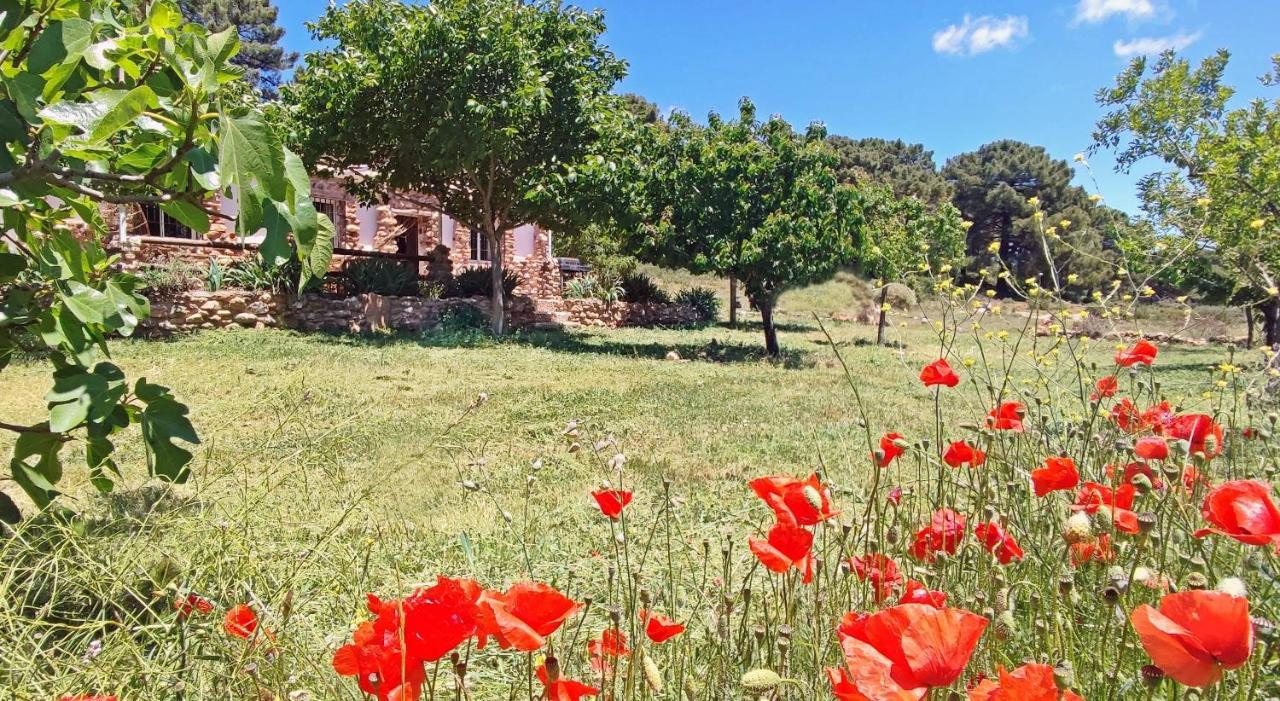 Esencia Lodge - Luxurious Off-Grid Cabin Retreat Almuñécar Exteriér fotografie